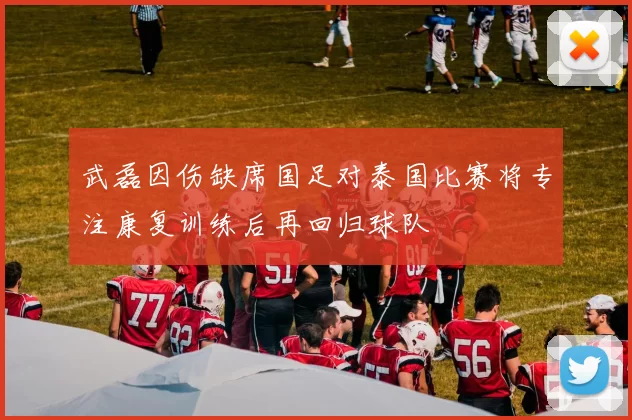 武磊因伤缺席国足对泰国比赛将专注康复训练后再回归球队